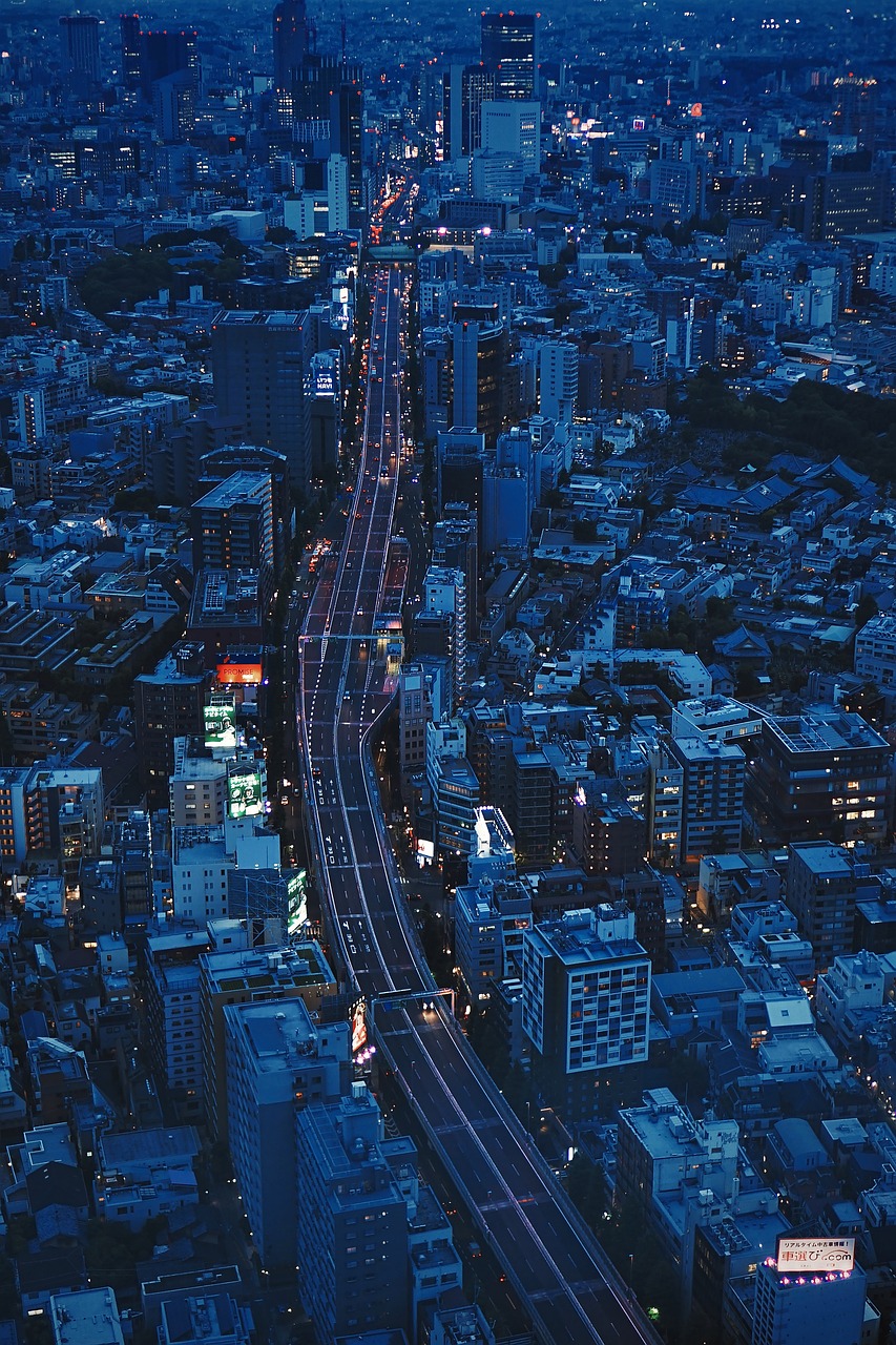 city, night, bird's eye view-5644601.jpg